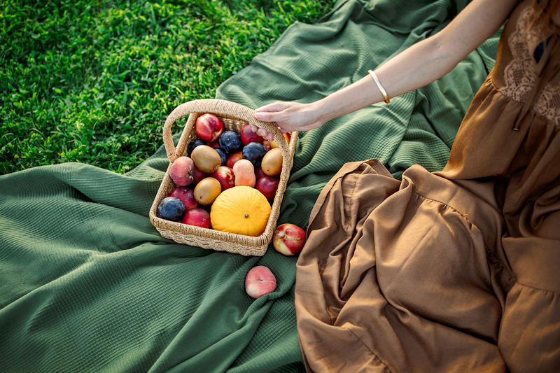 Degustazioni e Pic-nic